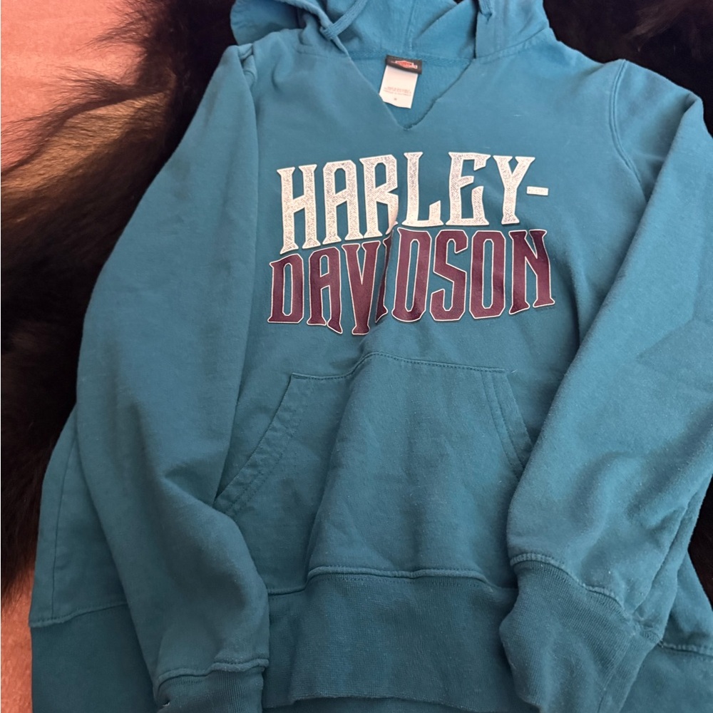 Harley-Davidson Blue Hoodie with Logo